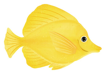 Yellow tang fish png sticker, animal illustration, transparent background