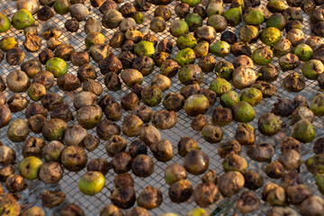 Close-up of dried figs and fresh figs spread out on a metal grid under sunlight for natural drying. Concept of organic farming, traditional food preservation, and sustainable agriculture practices. 