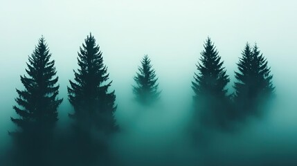 Mysterious fog concept. Misty forest with evergreen trees creating a serene and tranquil atmosphere.