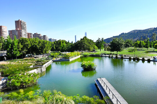 PARQUE BICENTENARIO VITACURA CHILE ARBLOES LAGUNAS AVES PECES