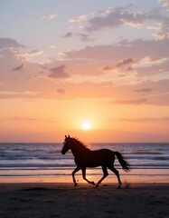 A horse at Freedom's Gallop