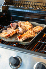 Indulging in Grilling Mouthwatering and Delicious Meat on a Gas Grill Outdoors Today