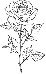 Red Rose Images for Designers