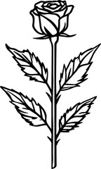 Naklejka premium Red Rose Images for Designers