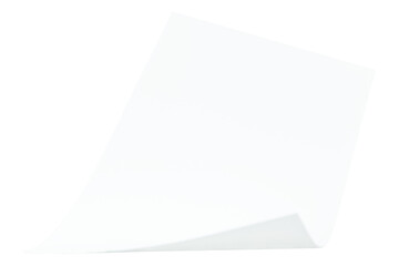 White curled chart paper design element