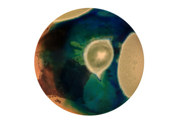Planets for use in your photos or art images. Made from liquid art using water, paint, soap, oil...