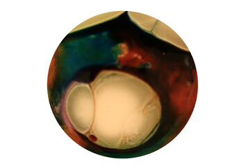 Planets for use in your photos or art images. Made from liquid art using water, paint, soap, oil...