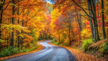 Vibrant fall foliage lining a winding forest road in autumn, fall colors, vibrant, foliage, forest road, winding, autumn