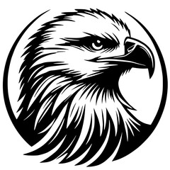 Eagle portrait silhouette