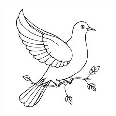  Dove silhouette line art illustration.