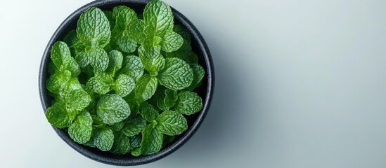 Obraz premium Fresh Mint Leaves in a Bowl: A Culinary Delight