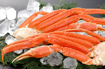 ズワイカニ肩付き脚