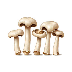Charming mushroom family displaying unique shapes and textures in a minimalist style, digital illustration of botanical art concept.