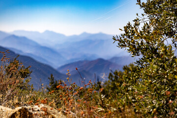 Closeup of spider web with beautiful scenery of mountains in the background. 