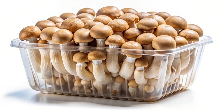 Close up of uniform mushrooms in plastic container, all facing the same direction, mushrooms, close up, plastic container