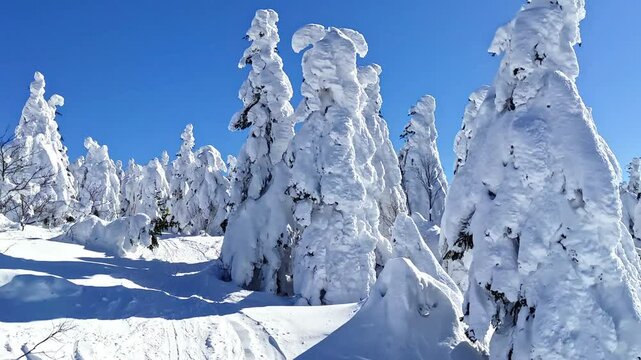 Forest of ice monsters viewed from a chairlift (Zao, Yamagata, Japan)