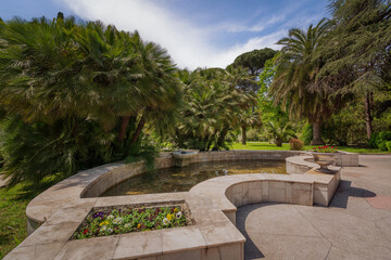 Pool "Seashell" surrounded by palm trees in the Upper Park of the Sochi Arboretum on a sunny summer day, Sochi, Krasnodar Territory, Russia