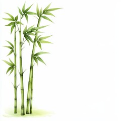Watercolor Painting of Bamboo Plants