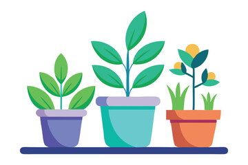 decorative planters vector art for home and garden designs
