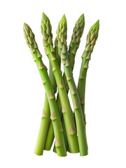 Fresh asparagus spears isolated on transparent background.