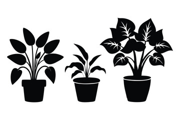 Fototapeta premium stylish planters silhouette art for gardening and home decor