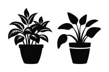 stylish planters silhouette art for gardening and home decor