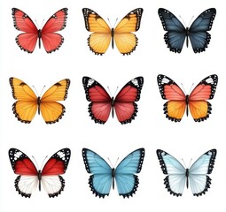 Nine Colorful Butterflies on White Background