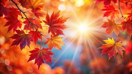 Autumn red maple leaves with lens flare , autumn, red, maple leaves, fall, foliage, seasonal, nature, sunlight, vibrant