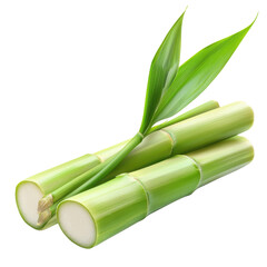 Fototapeta premium Fresh sugarcane isolated on a white background. png