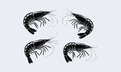 Elegant black and white shrimp vector set for creative design projects, easily editable.
