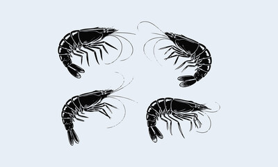 Elegant black and white shrimp vector set for creative design projects, easily editable.