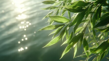 Sunlit Green Leaves Over Water