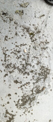 texture of the wall