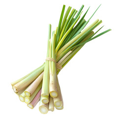 Fototapeta premium Freshly harvested lemongrass bundle displayed on a clean transparent background for culinary use, Lemongrass on transparent background