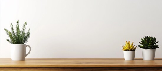 Fototapeta premium Minimalistic and Modern Wooden Table with Potted Plants and White Wall Background