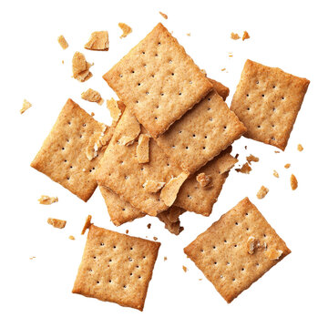 Whole wheat crackers scattered on a transparent background with some crushed pieces among them, whole wheat cracker and broken crushed on transparent background top view isolated