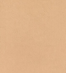 Beige shell texture background