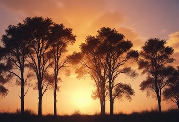 Softly glowing orange hues with silhouetted trees against the deepening blue sky at sunset, sunset, evening, atmospheric