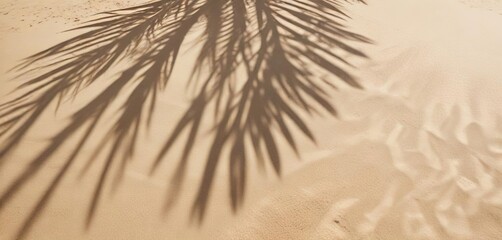 Sunlit palm leaf shadows creating beautiful design on tropical sandy beach, shadows, abstract, summer