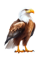 Obraz premium An eagle standing majestically, isolate on white background, showing its strong and powerful wings. cutout png