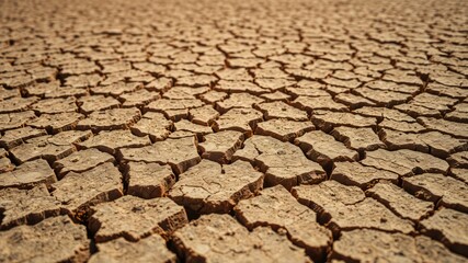 Cracked Earth Drought Summer Vivid Textures - AI Photo