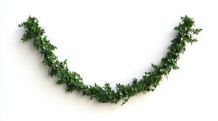 Christmas garland on a white background. with copy space image. Place for adding text or design