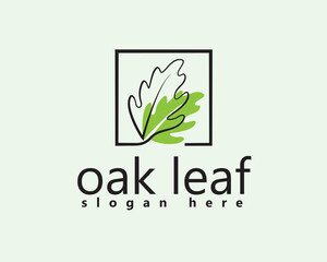 creative oak leaf in frame with color shadow logo design