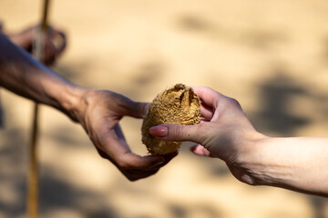 Female hand handing over a plant / seed to a male hand whose other hand is holding a walking stick background. 