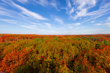 View from Holden Arboretum Overlook during autumn with view over "Tree City" Cleveland and orange, red, yellow and green foliage. 