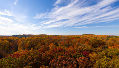 Wide angle view from Holden Arboretum Overlook during fall with view over "Tree City" Cleveland. 