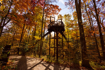 Holden Arboretum Overlook Tower surrounded by beautiful colorful trees during fall / autumn in the park