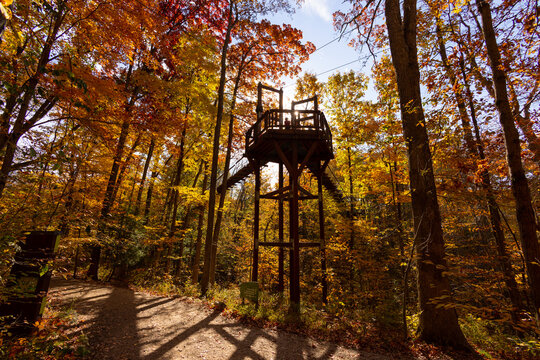 Holden Arboretum Overlook Tower surrounded by beautiful colorful trees during fall / autumn in the park