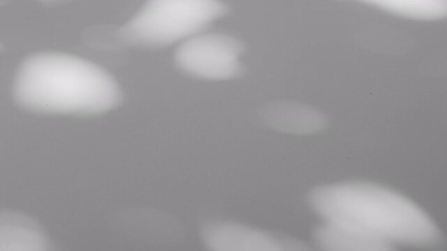 Wall interior background, studio and backdrops show products.with shadow from window color white and grey. background for text insertion and presentation product	

