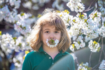 Close up face of cute child near blossom tree outdoors. Spring banner for website header. Portrait of beautiful child in the spring blossoming garden. Happy kid with spring flowers.